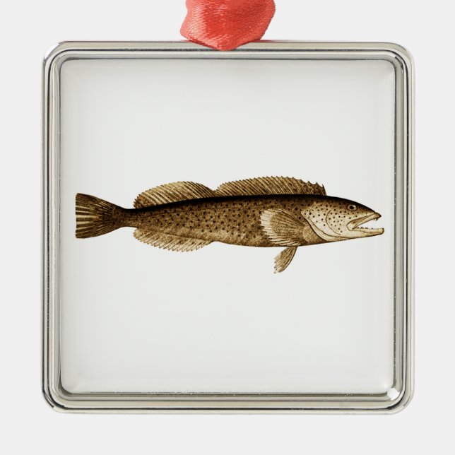 Lingcod-Logo Silbernes Ornament (Vorne)