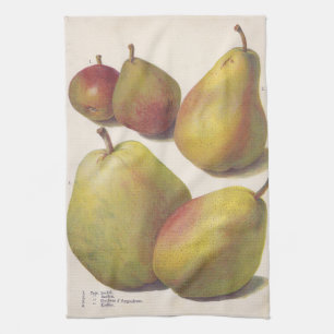 Linge De Cuisine 5 poires vintages illustrées