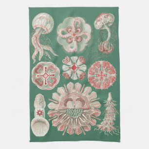 Linge De Cuisine Affiche verte méduse rose Ernst Haeckel vie marine