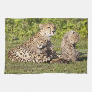 Linge De Cuisine Afrique. Tanzanie. Cheetah mère et petits 2