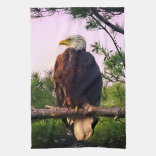 Linge De Cuisine Aigle mûr perché dans l'arbre À feuillage persista