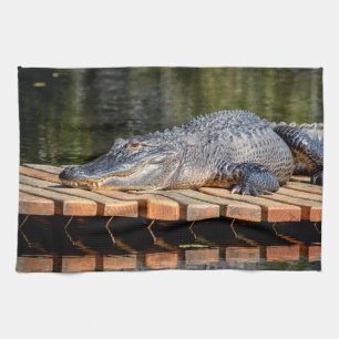 Linge De Cuisine Alligator at Homosassa Springs Wildlife State Park
