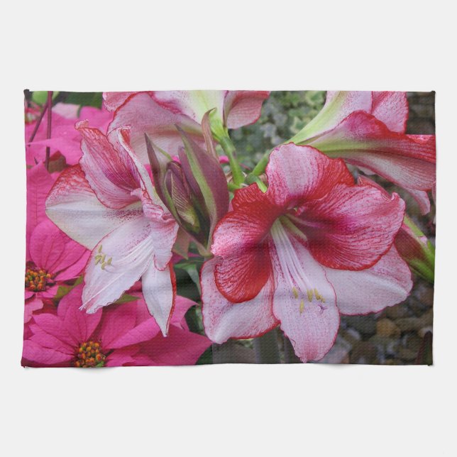 Linge De Cuisine Amaryllis et Poinsettia Fleurs de Fêtes Rouges (Horizontal)