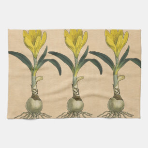 Linge De Cuisine Amaryllis Tulip Jardin Botanique Fleur