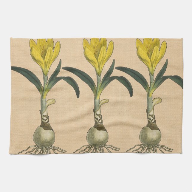 Linge De Cuisine Amaryllis Tulip Jardin Botanique Fleur (Horizontal)