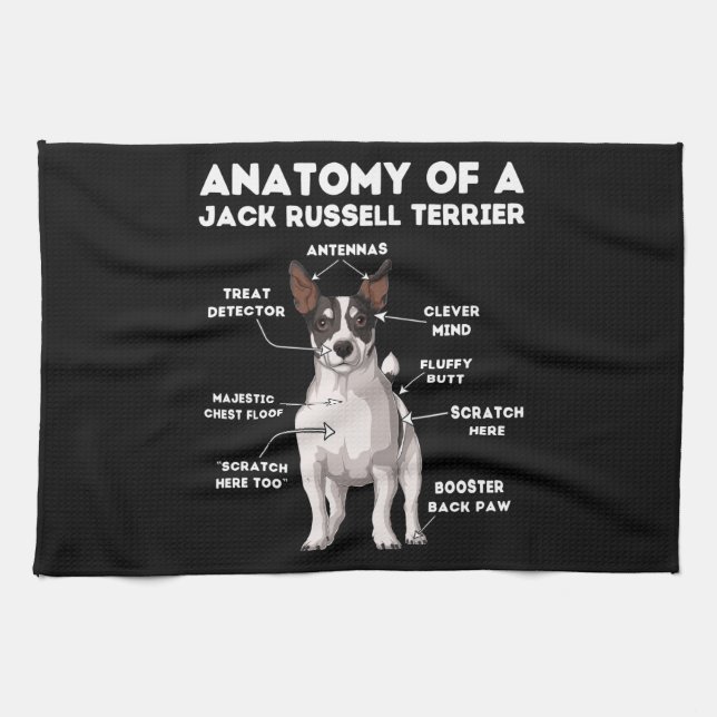 Linge De Cuisine Anatomie d'un Jack Russell Terrier (Horizontal)