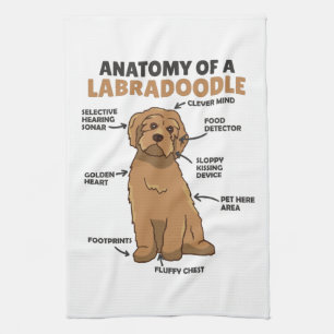Linge De Cuisine Anatomie D'Un Labradoodle Cute Canine Chiot