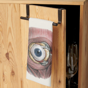 Linge De Cuisine Anatomie humaine vintage, Oeil de l'oeil avec des 