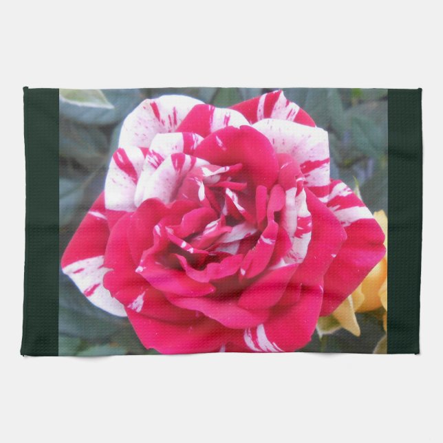 Linge De Cuisine Ancienne (Horizontal)