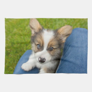 Linge De Cuisine Animaux de bébés cutest Baby Corgi dans mon geno