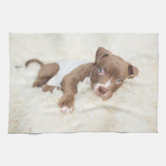 Linge De Cuisine Animaux de bébés cutest | Baby Pit Bull Puppy (Horizontal)