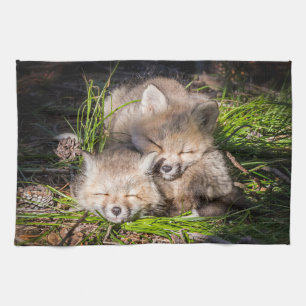Linge De Cuisine Animaux de bébés cutest   Baby Red Fox Kits Sleepi