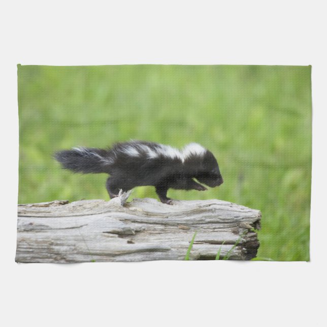 Linge De Cuisine Animaux de bébés cutest | Bébé Skunk (Horizontal)