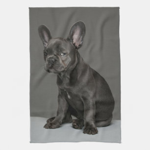 Linge De Cuisine Animaux de bébés cutest   Blue French Bulldog Pupp