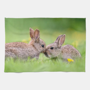 Linge De Cuisine Animaux de bébés cutest   Bunny Kiss
