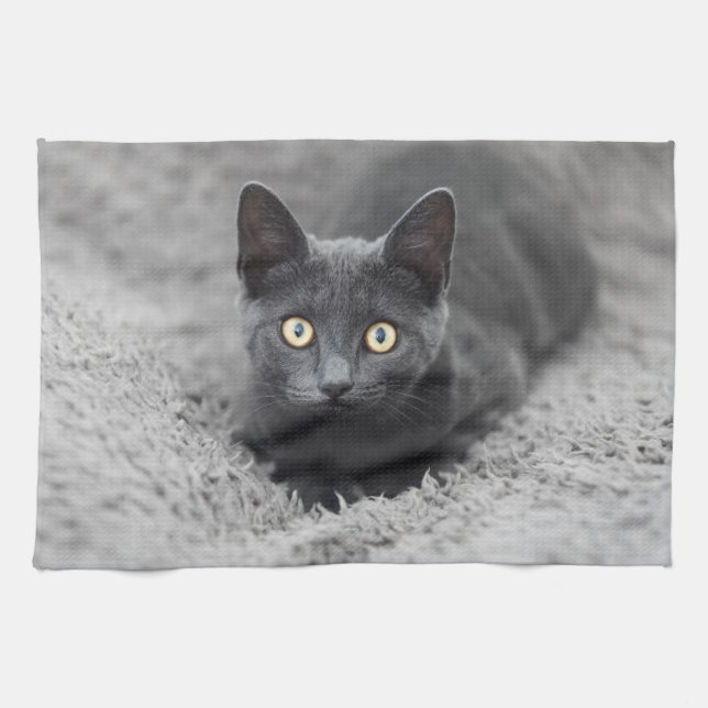 Linge De Cuisine Animaux de bébés cutest | Chat gris (Horizontal)