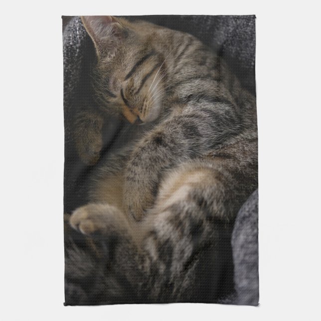 Linge De Cuisine Animaux de bébés cutest | Chat Tabby Dormant (Vertical)