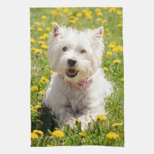 Linge De Cuisine Animaux de bébés cutest   Chien Westin en Dandelio