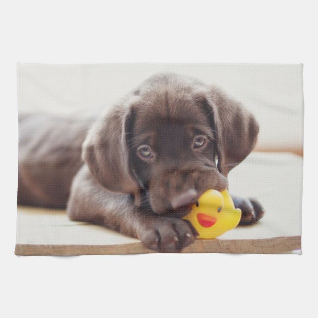 Linge De Cuisine Animaux de bébés cutest | Chocolat Labrador Puppy (Horizontal)