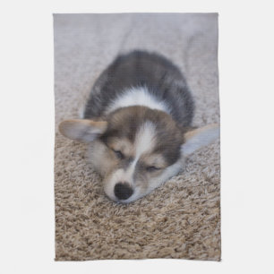 Linge De Cuisine Animaux de bébés cutest   Corgi Chiot sur Shag Rug