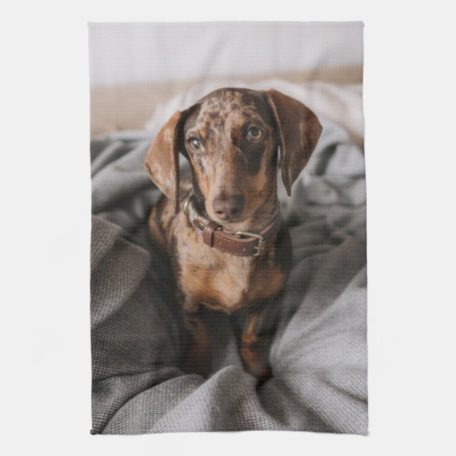 Linge De Cuisine Animaux de bébés cutest | Dachshund Dachshund Dach (Vertical)