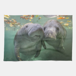 Linge De Cuisine Animaux de bébés cutest Deux Manatees