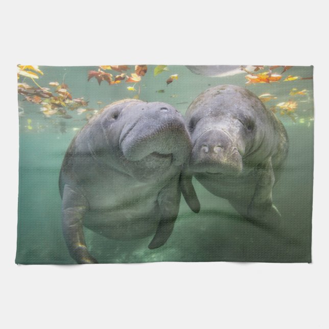 Linge De Cuisine Animaux de bébés cutest | Deux Manatees (Horizontal)