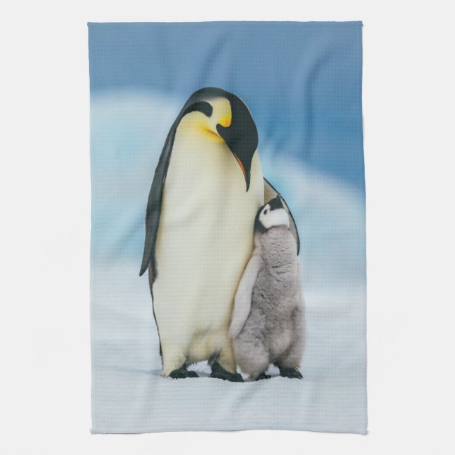 Linge De Cuisine Animaux de bébés cutest | Empereur Penguin Chick (Vertical)