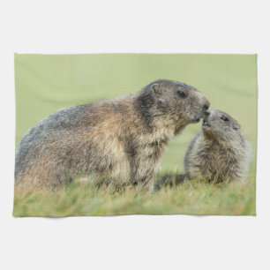 Linge De Cuisine Animaux de bébés cutest Famille des marmottes al