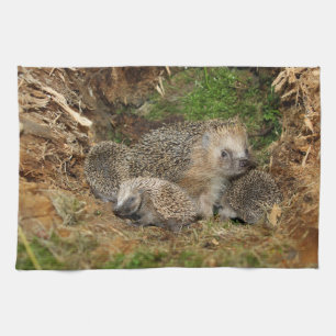 Linge De Cuisine Animaux de bébés cutest   Famille Hérisson