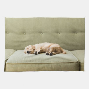Linge De Cuisine Animaux de bébés cutest   Golden Retriever Puppy 2