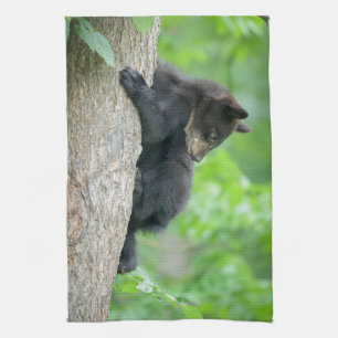 Linge De Cuisine Animaux de bébés cutest   Jeune ours Ours Noir