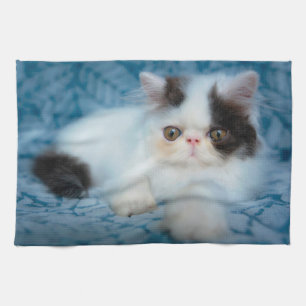 Linge De Cuisine Animaux de bébés cutest   Kitten noir et blanc