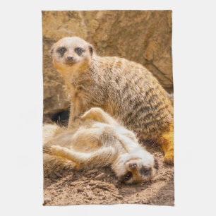 Linge De Cuisine Animaux de bébés cutest   Meerkats joueurs