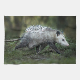 Linge De Cuisine Animaux de bébés cutest Opossum Maman & Kids