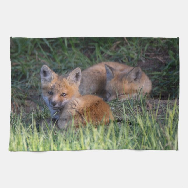 Linge De Cuisine Animaux de bébés cutest | Paire de frères et soeur (Horizontal)