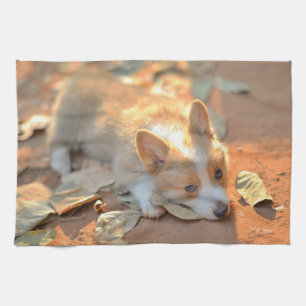 Linge De Cuisine Animaux de bébés cutest   Shy Corgi