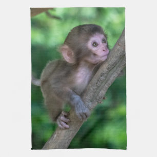 Linge De Cuisine Animaux de bébés cutest Singe bébé