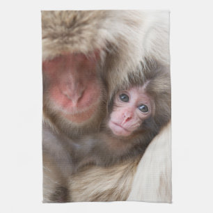 Linge De Cuisine Animaux de bébés cutest Singe des neiges