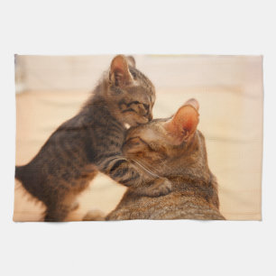 Linge De Cuisine Animaux de bébés cutest   Tabby Kitten Kiss