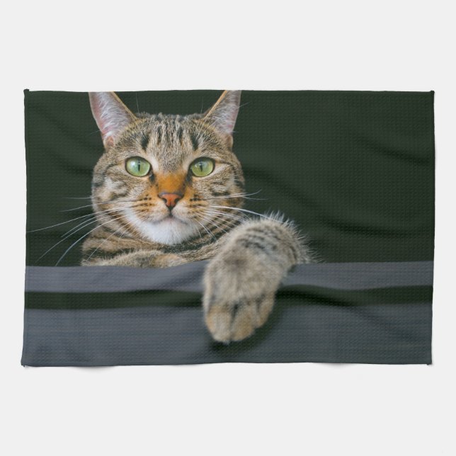 Linge De Cuisine Animaux de bébés cutest | Tête de chat gris Tabby (Horizontal)