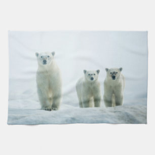 Linge De Cuisine Animaux de bébés cutest   Trois jeunes ours polair