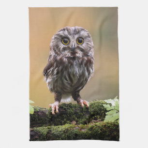 Linge De Cuisine Animaux de bébés cutest   Un hibou-bébé