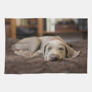 Linge De Cuisine Animaux de bébés cutest   Weimaraner Puppy Sleepin