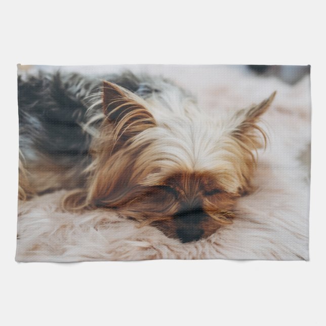 Linge De Cuisine Animaux de bébés cutest | Yorkshire Terrier (Horizontal)