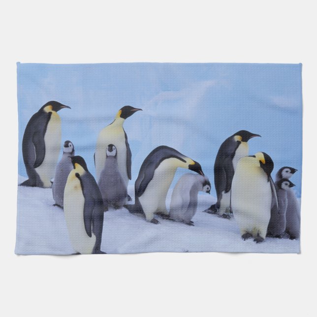 Linge De Cuisine Antarctique, Emporer Penguins (Horizontal)