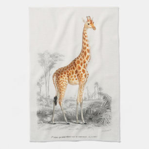 Linge De Cuisine Antique Giraffe Histoire naturelle Imprimer Orbign