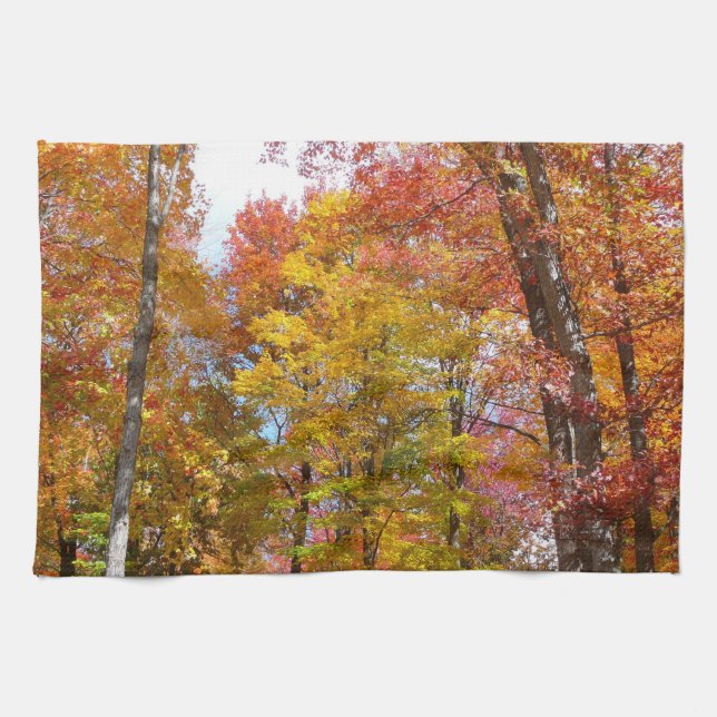 Linge De Cuisine Arbres automnes oranges et jaunes Photographie d'a (Horizontal)