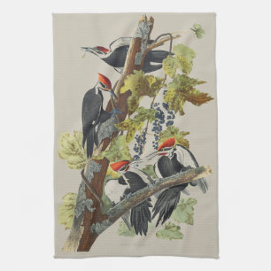 Linge De Cuisine Art vintage d'oiseau pic à tête rouge d'Audubon