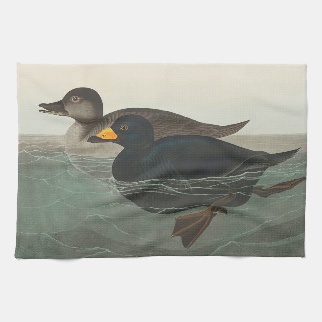 Linge De Cuisine Audubon American Scoter Duck Classic (Horizontal)